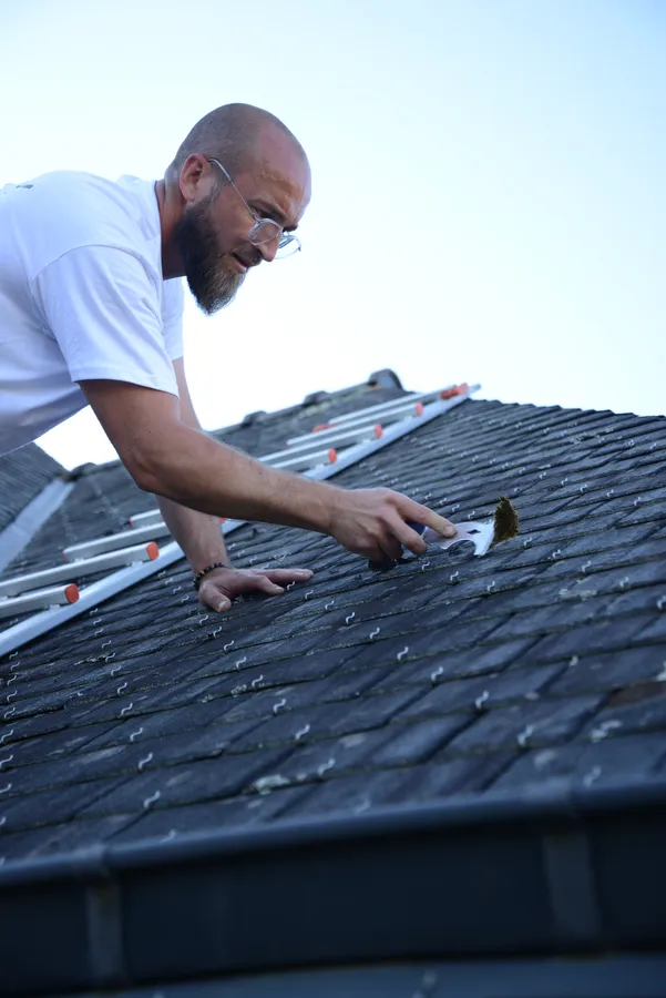 démoussage de toiture dans le Morbihan