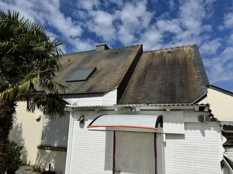 nettoyage demoussage toiture pluneret 06