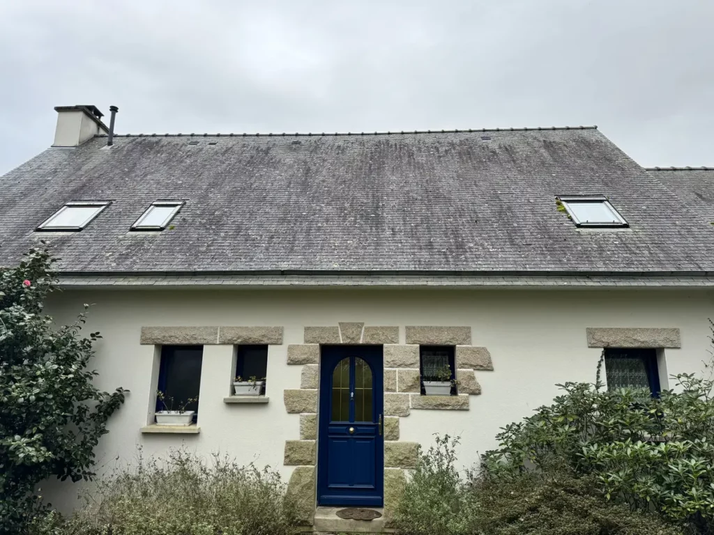 nettoyage toiture baden 02