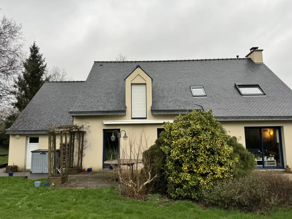 nettoyage toiture baden 11