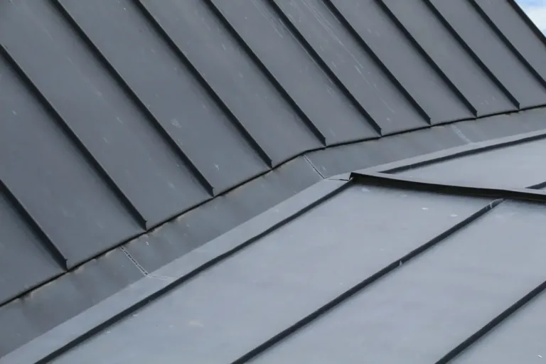 toit zinc neoty