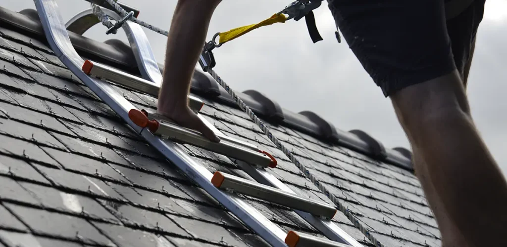 neoty couvreur plumergat nettoyage toiture